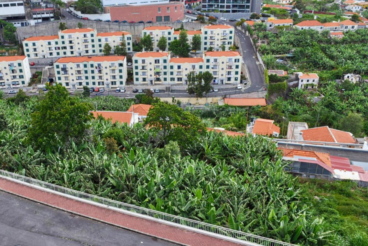 Design Gardens, A Home In Madeira Funchal Dış mekan fotoğraf